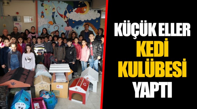 KÜÇÜK ELLER ‘KEDİ KULÜBESİ’ YAPTI