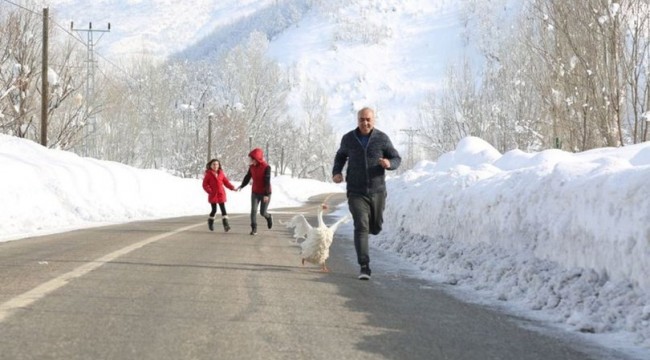 Mahmut Utan, sabah kazla koşuya çıkıyor, akşam tilki ailesini besliyor