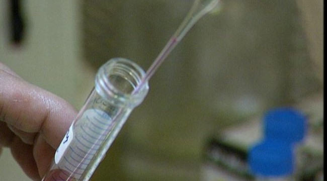 Ölen kocasının donmuş spermini kullanmasına izin verilmedi