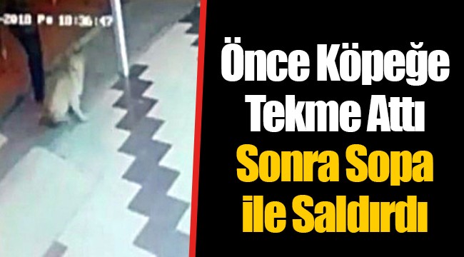 Önce Köpeğe Tekme Attı Sonra Sopa ile Saldırdı