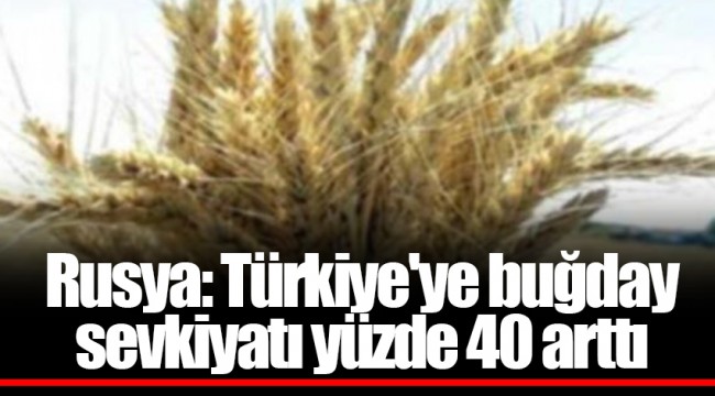 Rusya: Türkiye'ye buğday sevkiyatı yüzde 40 arttı