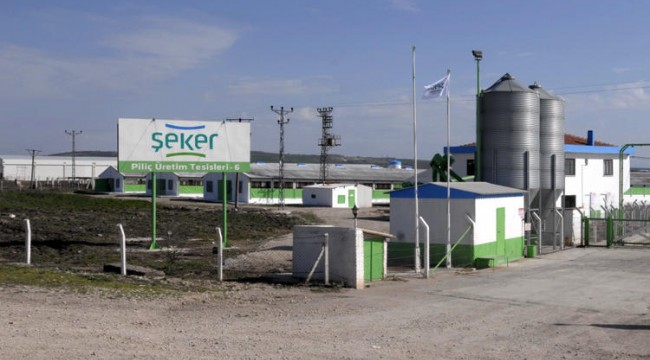 Şeker Piliç'in sahipleri gözaltında