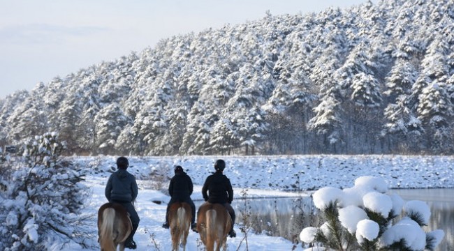 Uludağ'ın karlı eteklerinde atla gezinti turizmi