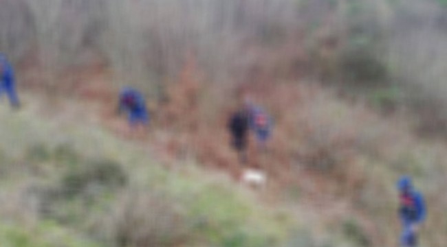 Yaşlı adamı yabani hayvanlar öldürdü