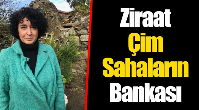 Ziraat Çim Sahaların Bankası
