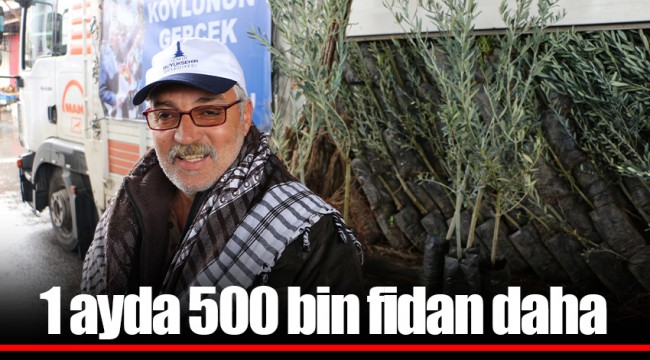 1 ayda 500 bin fidan daha