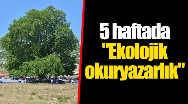 5 haftada "Ekolojik okuryazarlık"