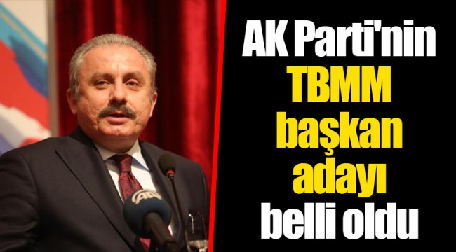AK Parti'nin TBMM başkan adayı belli oldu
