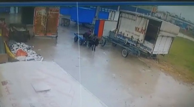 At arabalı hırsızlar kameraya yakalandı