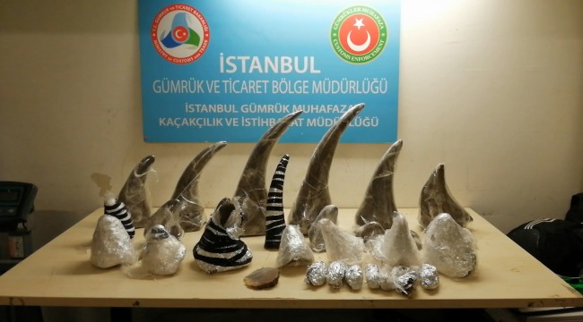 Atatürk Havalimanı'nda gergedan boynuzu operasyonu