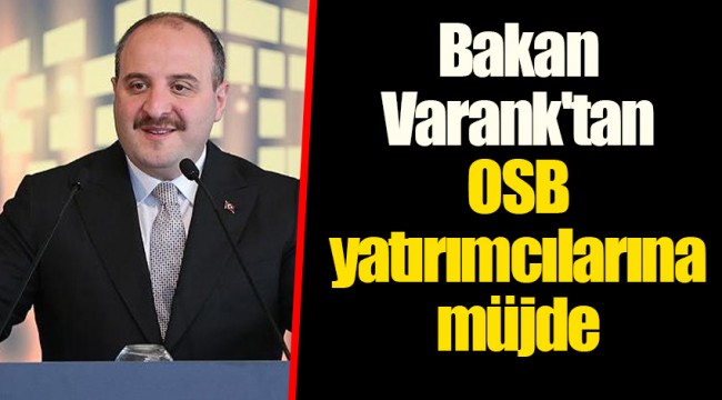Bakan Varank'tan OSB yatırımcılarına müjde