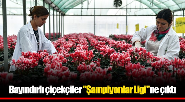 Bayındırlı çiçekçiler "Şampiyonlar Ligi"ne çıktı