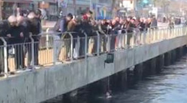 Denize düşen kediyi buz gibi suya girerek kurtardı