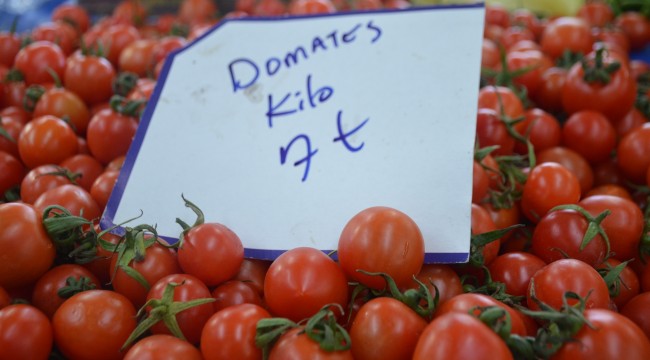 Domatesin fiyatı el yakıyor