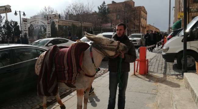 Eşeğe yüzlerce kiloluk yük taşıtmıştı, özür diledi