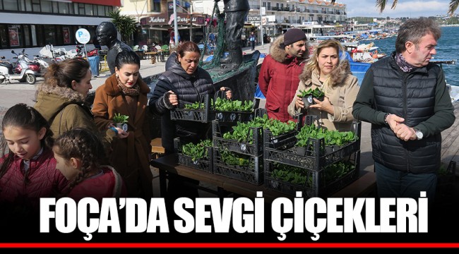 FOÇA’DA SEVGİ ÇİÇEKLERİ