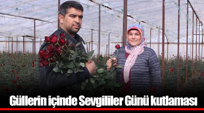 Güllerin içinde Sevgililer Günü kutlaması