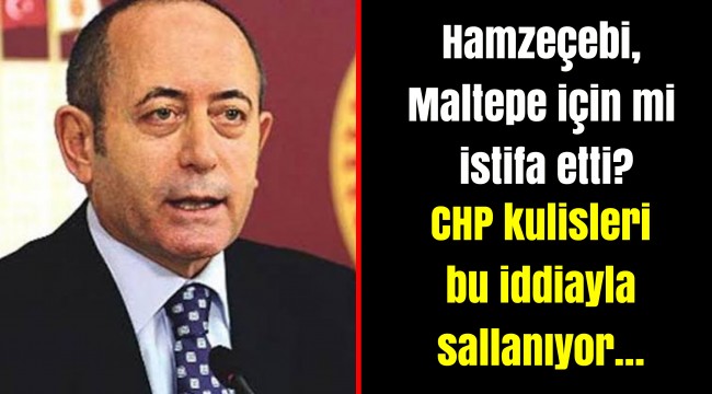 Hamzeçebi, Maltepe için mi istifa etti?