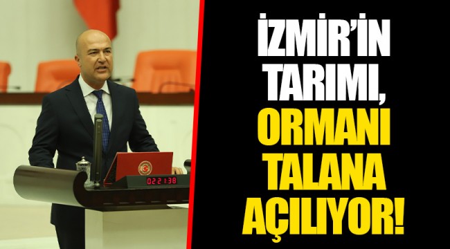 İZMİR’İN TARIMI, ORMANI TALANA AÇILIYOR!