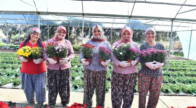 İzmirli çiçek üreticileri çağ atlayacak