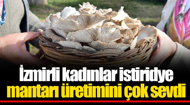 İzmirli kadınlar istiridye mantarı üretimini çok sevdi