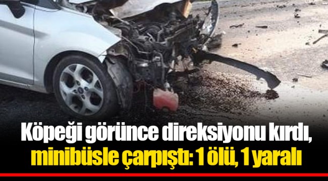 Köpeği görünce direksiyonu kırdı, minibüsle çarpıştı: 1 ölü, 1 yaralı