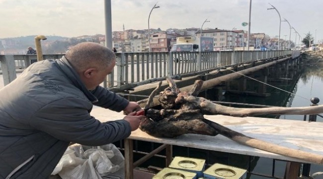 Kuru ağaç kökleri ve dallarından ev eşyası üretiyor