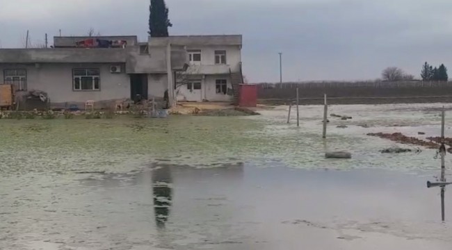 Mahalleli iki aydır su içinde yaşıyor