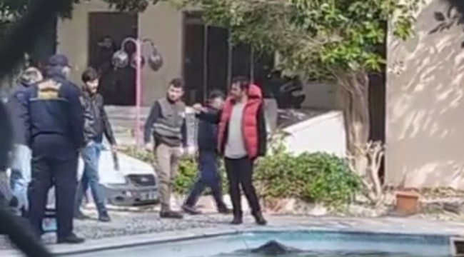 Marmaris’te bir domuz havuza düştü