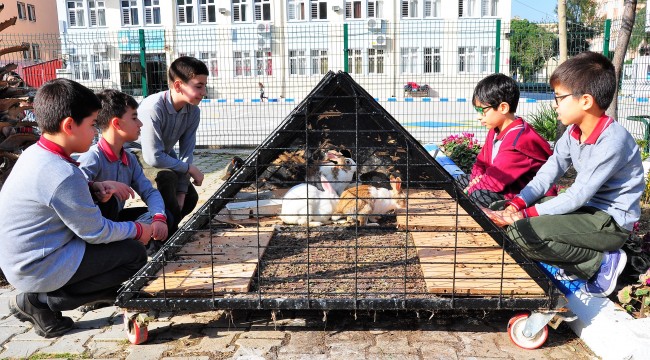 Minik öğrenciler &quot;Hayat Oyunu&quot;yla hayata hazırlanıyor