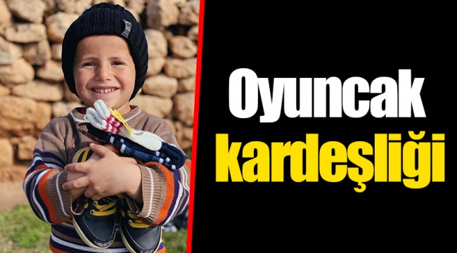 Oyuncak kardeşliği