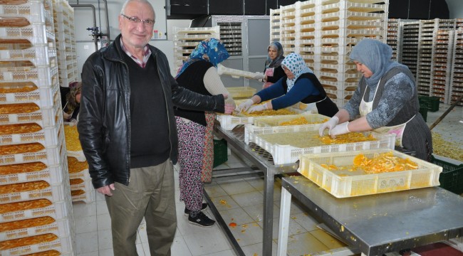 Sebze ve meyveler jeotermal enerji ile kurutuluyor