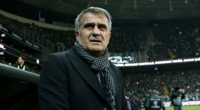 Şenol Güneş, Milli Takım'da