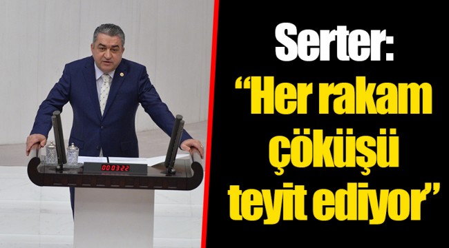 Serter: “Her rakam çöküşü teyit ediyor”