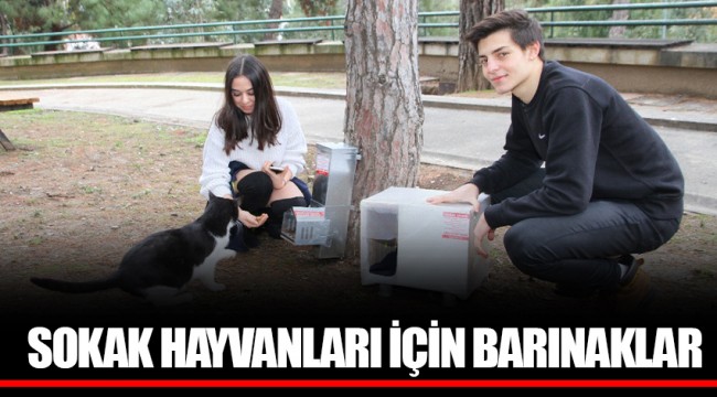 SOKAK HAYVANLARI İÇİN BARINAKLAR