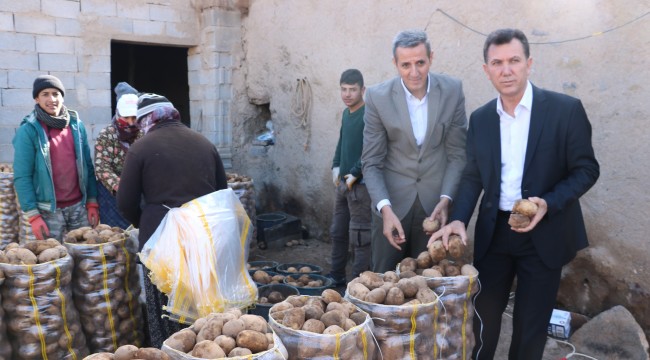 Tanzim satışlarına günlük 100 ton patates Niğde’den gidiyor