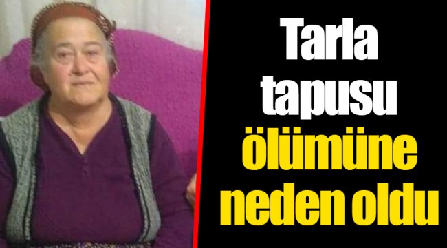 Tarla tapusu ölüme neden oldu