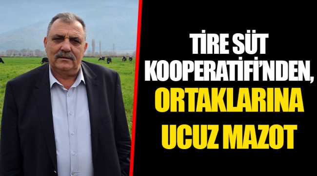 TİRE SÜT KOOPERATİFİ’NDEN, ORTAKLARINA UCUZ MAZOT