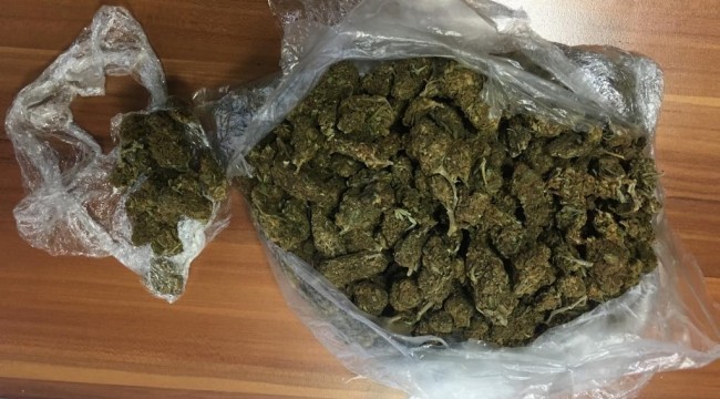 Tokat'ta torbacı operasyonu: 13 tutuklama