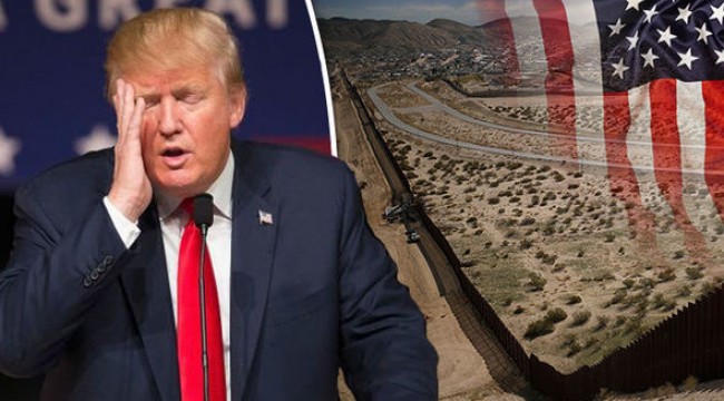 Trump ABD'de "ulusal acil durum" ilan etti