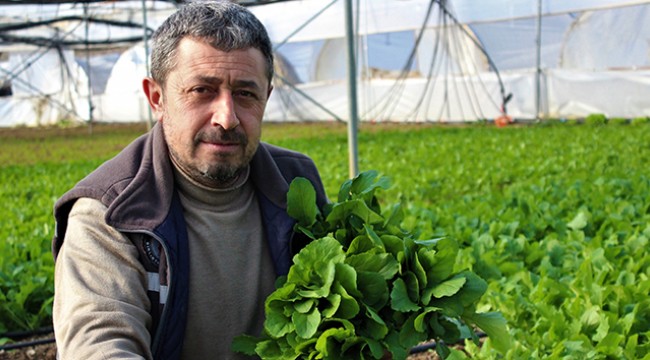 Üretici ve taşıyıcıya cefası kalıyor