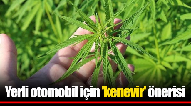 Yerli otomobil için 'kenevir' önerisi