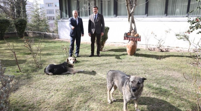 Zeybekci'den ithal aday çıkışına cevap: "Mahallenin çocuğuyum!"