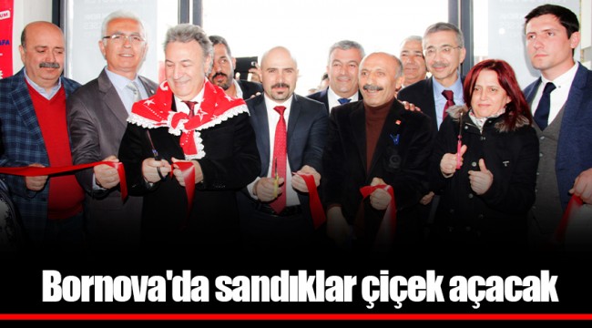 Bornova'da sandıklar çiçek açacak