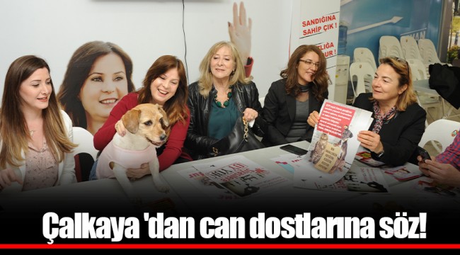 Çalkaya 'dan can dostlarına söz!