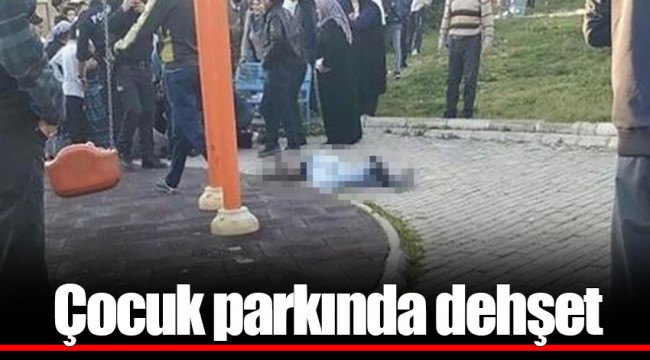 Çocuk parkında dehşet