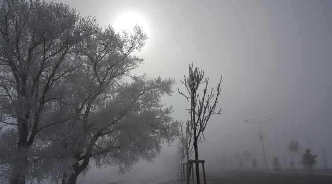 Doğu Anadolu'da soğuk hava: Ağrı eksi 12