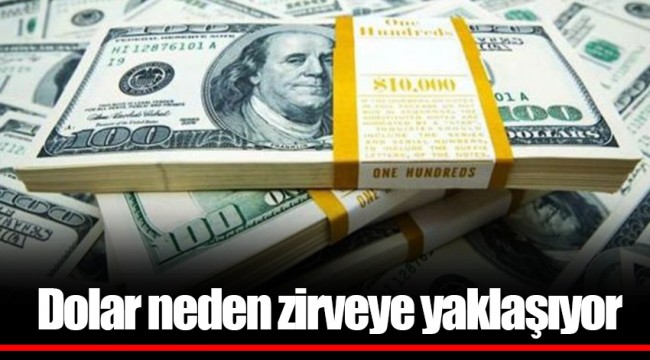 Dolar neden zirveye yaklaşıyor