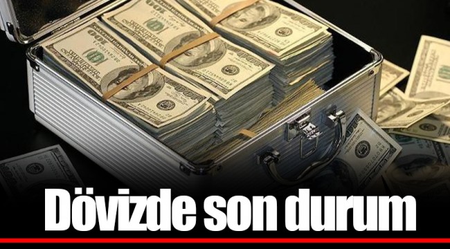Dövizde son durum