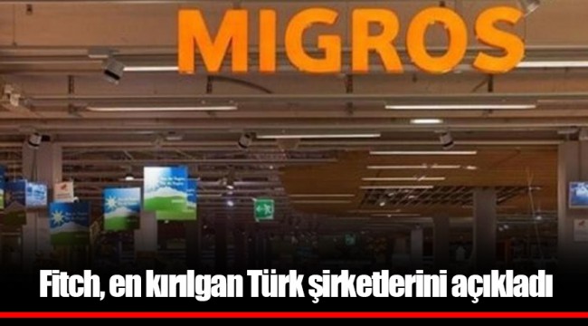 Fitch, en kırılgan Türk şirketlerini açıkladı